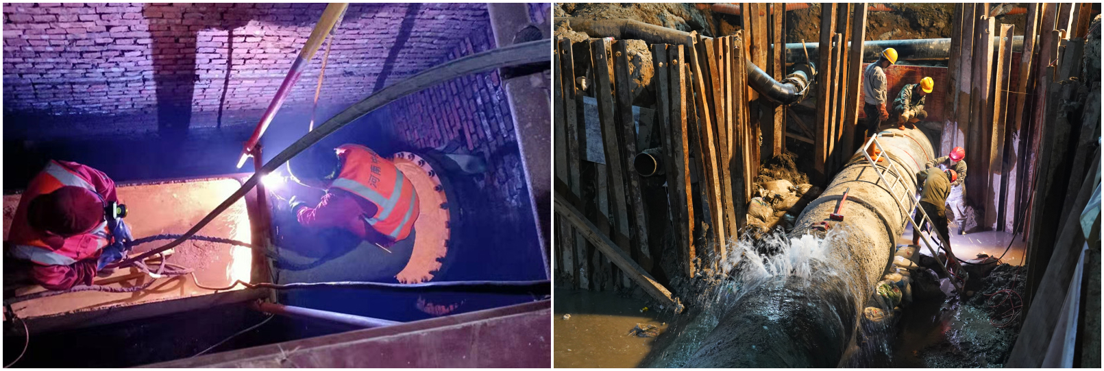 1583121077149042256.jpg 图片21.jpg