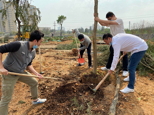 1585908502175063028.png 图片 3.png