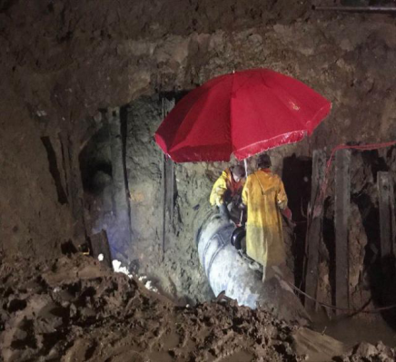 1586513364843046497.png 图片 1.png