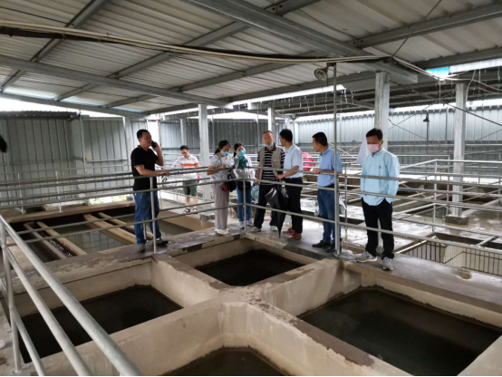 1590744042443000670.png 图片.png