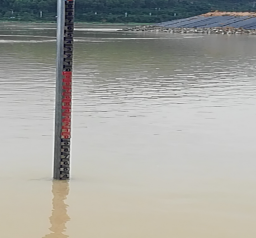 1591947110420030639.png 图片.png