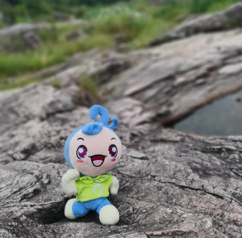 福州水务集团有限公司|福州水务