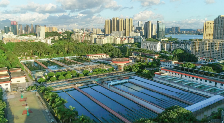 C:UsersAdministratorDownloads0-11-13魏默然11.13政务新闻电子信息发布申请.已整理0-11-13魏默然11.13政务新闻电子信息发布申请深耕水务事业 服务美好生活深耕水务事业 服务美好生活163.png