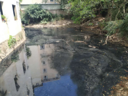 C:UsersAdministratorDownloads0-11-13魏默然11.13政务新闻电子信息发布申请.已整理0-11-13魏默然11.13政务新闻电子信息发布申请\u9996战打响 重拳出击 敢叫“黑臭”换新颜——记高新区水务公司马保溪河流治理工作\u9996战打响 重拳出击 敢叫“黑臭”换新颜——记高新区水务公司马保溪河流治理工作691.png