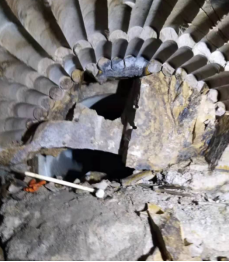 1606094020657055180.png C:UsersAdministratorDownloads0-11-20魏默然11.20政务新闻电子信息发布申请.已整理0-11-20魏默然11.20政务新闻电子信息发布申请\u57ce中村污水围截项目白马河公园污水干管顺利贯通\u57ce中村污水围截项目白马河公园污水干管顺利贯通1050.png