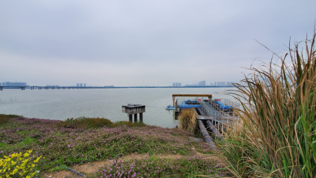 提升改造不畏难 奥体水系换新颜——排水公司顺利完成一泵三闸维修改造提升任务138.png