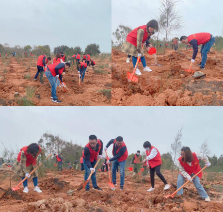 植树添绿守青山 共建新城新生态——滨海水务开展义务植树志愿活动279.png
