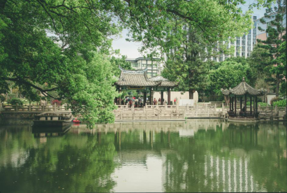 1欧冶池水环境提升项目完工 绘就福州版“莫奈池塘”124.png