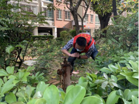 珍惜水资源 保障水安全——福州水司司属党支部开展“中国水周”主题志愿活动286.png