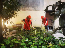 近邻党建联结红色盟友 志愿服务解锁民生密码——工程公司开展近邻党建红色盟友志愿服务活动419.png