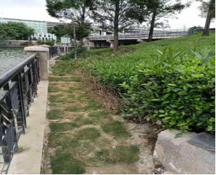 排水公司：紧急修复破损驳岸 确保周边居民安全351.png