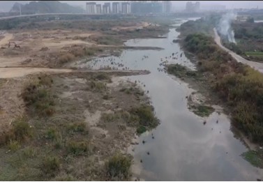 奋力攻坚  持续推进项目建设——义序河综合整治项目三环路至义序排涝站河段清疏工作顺利完成109.png