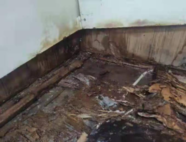 从“群众”出发 让“满意”落地——福州水司高效解决金城住宅小区住户用水难题1066.png