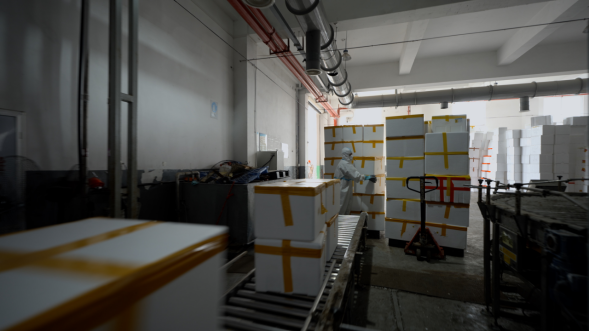 向“疫”而行 守护万家灯火——深投海环全力保障福州市区涉疫废物转运处置工作908.png