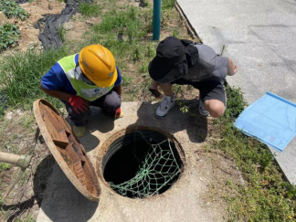 农污设施大把脉 诊断报告详分析——高新区水务完成南屿镇农村污水设施全面排查工作466.png