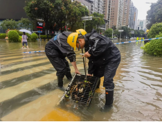 迎战破纪录暴雨，福州水务精锐出击！1946.png