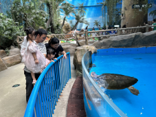 探秘多彩海洋  伴童快乐成长——平潭引水公司组织开展游玩欧乐堡海洋世界亲子活动412.png