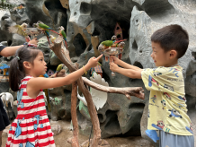 探秘多彩海洋  伴童快乐成长——平潭引水公司组织开展游玩欧乐堡海洋世界亲子活动414.png