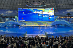 探秘多彩海洋  伴童快乐成长——平潭引水公司组织开展游玩欧乐堡海洋世界亲子活动415.png