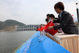 增殖放流！10万尾鱼苗在莒口拦河闸“安新家”102.png