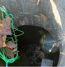 幸福生活 “分开”更好——排水公司2023年雨污分流改造见成效191.png