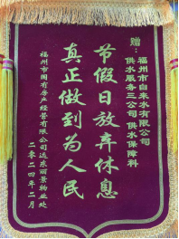 真情致谢送锦旗  春节抢修保民生77.png