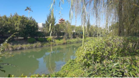 看林俊杰的福州演唱会 奥体周边还有2处小“江南”值得打卡498.png