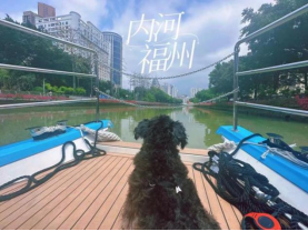 晋安河来客 一人一狗游内河147.png