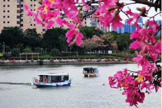 晋安河来客 一人一狗游内河270.png