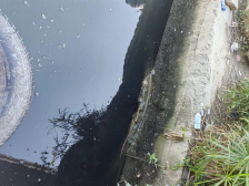 科学溯源 精准施策 排水公司深入推进排口流域排查改造310.png