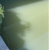 科学溯源 精准施策 排水公司深入推进排口流域排查改造1061.png