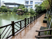 修复环湖栈道！重拾“家门口”的诗意——工程公司生态园林分公司完成月亮湖木栈道修复提升项目764.png