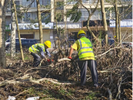 披荆斩棘 全力以“复”——福州水务援琼抢险队争分夺秒助力海南海口台风灾后重建584.png