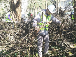 披荆斩棘 全力以“复”——福州水务援琼抢险队争分夺秒助力海南海口台风灾后重建585.png