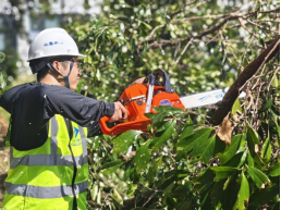 披荆斩棘 全力以“复”——福州水务援琼抢险队争分夺秒助力海南海口台风灾后重建587.png