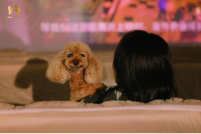 徜徉云端 赴一场摩天轮观影之约——“电影之城4.0”城市地标光影之旅第二站在晋安湖公园开启215.png