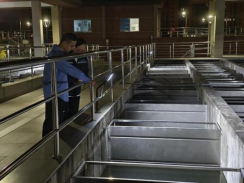 1733210010554005496.png 立足岗位务实创新 脚踏实地奋斗青春——初心如炬·榕水印记2023年度优秀员工先进事迹系列报道(三)749.png