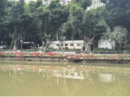 20小时连续作业 晋安河驳岸“修旧如旧”242.png