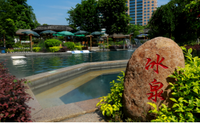 茉莉芬芳 温泉颐养 喜迎新春——福建海峡源脉“温泉·茉莉”文化节记851.png
