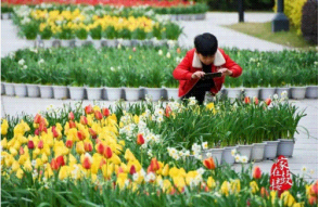 护航欢欣年 新春“水务协奏曲”已上线2946.png