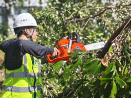 做好工程实事 书写年度水务民生答卷1287.png