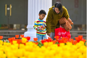 站好新春水务岗 榕水“生生”不息 服务“巳巳”如意2131.png