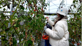 1742367677575029328.png 以水之柔·润泽时光 福州水务集团组织开展“国际妇女节”主题活动1737.png