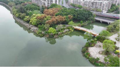 春日游船赏花 水务人为您开启内河岸线“花花世界”170.png