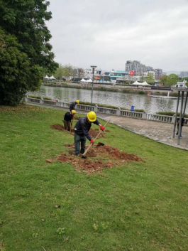 春日游船赏花 水务人为您开启内河岸线“花花世界”292.png