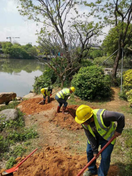 春日游船赏花 水务人为您开启内河岸线“花花世界”293.png