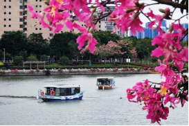 春日游船赏花 水务人为您开启内河岸线“花花世界”868.png