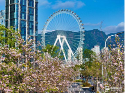 春日游船赏花 水务人为您开启内河岸线“花花世界”1009.png