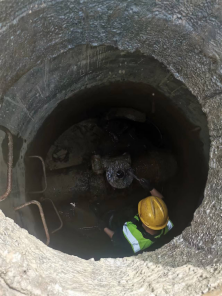 “水”时守护每一刻  福州水务匠心润万家1958.png