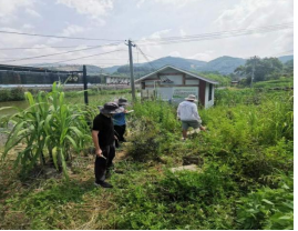 赴绿水青山的乡间之约 水务青年先锋队农污治理攻坚纪实400.png